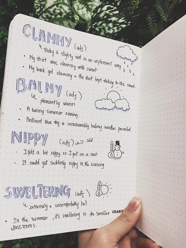 Sổ từ vựng đẹp