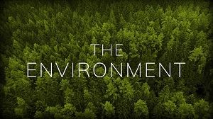 Enviroment - M&ocirc;i trường 