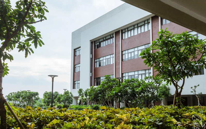 to&agrave; nh&agrave; ch&iacute;nh của trường