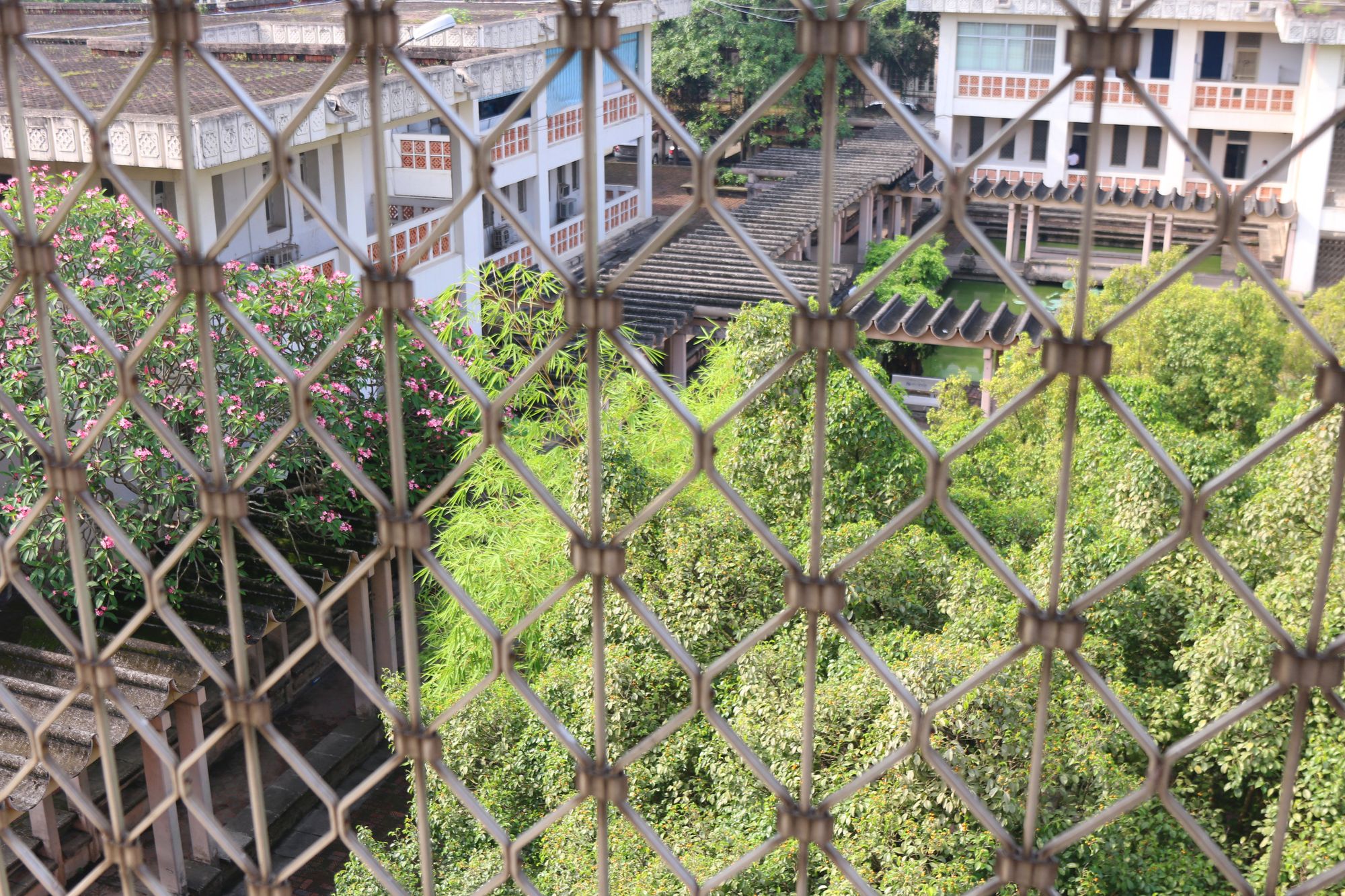 quang cảnh của trường