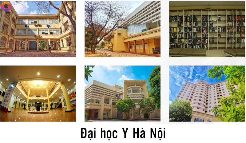 khu&ocirc;n vi&ecirc;n đại học y h&agrave; nội