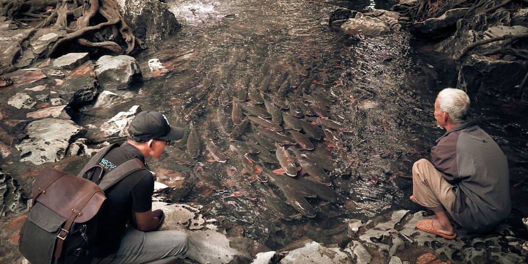 Khu du lịch Suối C&Aacute;