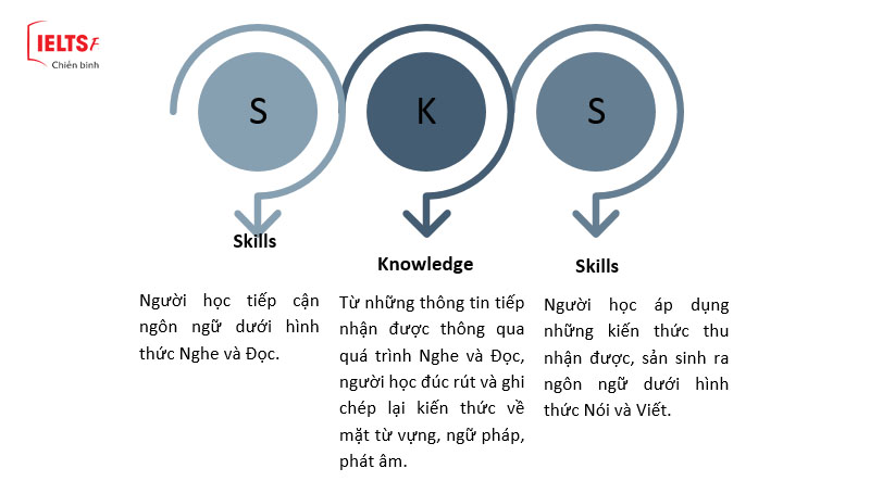 phương ph&aacute;p RIPL 4