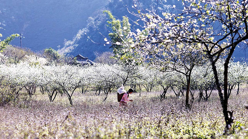 IELTS Speaking weather