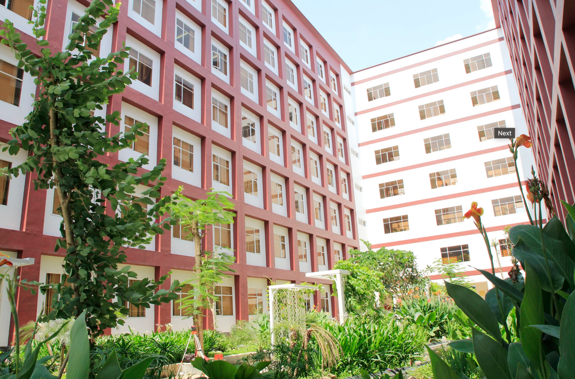 khu&ocirc;n vi&ecirc;n nhiều c&acirc;y của trường đại học quốc tế HCM