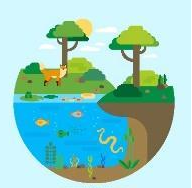 h&igrave;nh ảnh environment 1