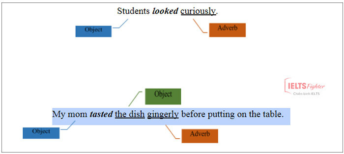 Linking verb - C&aacute;c động từ nối thường gặp v&agrave; b&agrave;i tập c&oacute; đ&aacute;p &aacute;n 1
