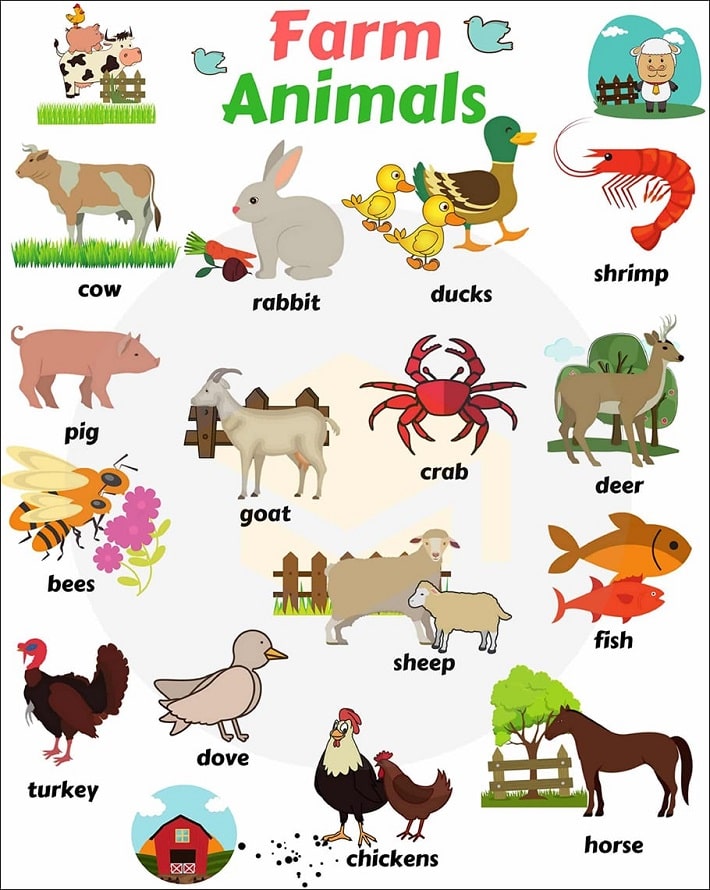Farm animals