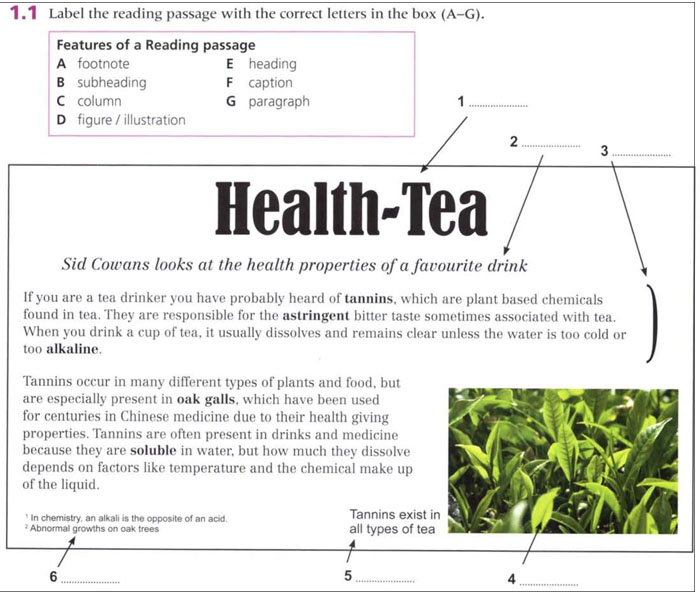 Tips l&agrave;m b&agrave;i IELTS  Reading hiệu quả 1