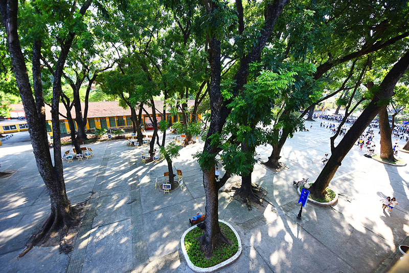 Trường THPT Chu Văn An 1