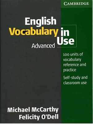Vocabulary in Use