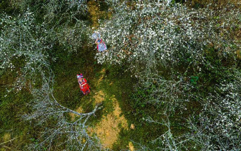 thung lũng Kỳ Sơn