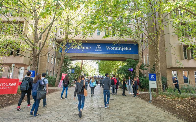 đại học Melbourne