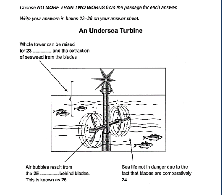 ảnh diagrams reading b&agrave;i checkup
