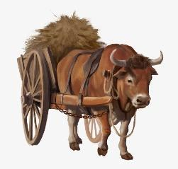 h&igrave;nh ảnh chủ đề History trong Reading 3