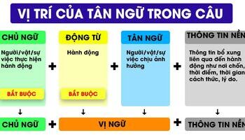 tan-ngu-la-gi-cac-loai-va-hinh-thuc-tan-ngu-trong-tieng-anh-2052