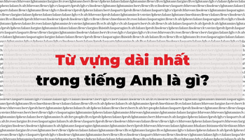 sung-sot-voi-su-that-ve-15-tu-tieng-anh-dai-nhat-1395