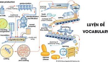 luyen-de-writing-task-1-the-process-of-making-cheese-1337