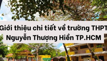 gioi-thieu-chi-tiet-ve-truong-thpt-nguyen-thuong-hien-tphcm-1491