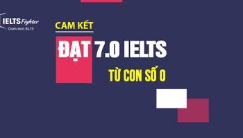 khoa-hoc-ielts-70-tron-goi-tu-ielts-fighter-cam-ket-dau-ra-70-ielts-2340