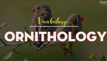 ielts-vocabulary-topic-ornithology-va-veterinary-science-1705