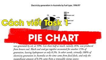 cach-viet-bieu-do-tron-pie-chat-trong-ielts-writing-task-1-3053