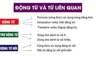 dong-tu-verbs-trong-tieng-anh-bai-tap-thuc-hanh-chi-tiet-2768