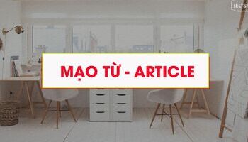 unit-8-mao-tu-article-3536