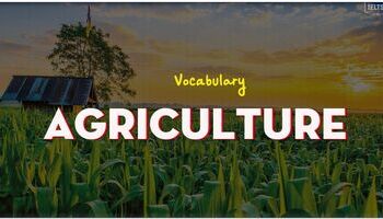 ielts-vocabulary-topic-agriculture-1769