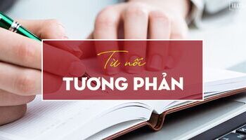 unit-3-cac-tu-noi-tuong-phan-trong-bai-thi-ielts-3548