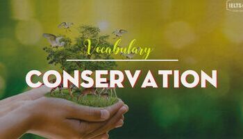 ielts-vocabulary-topic-environment-conservation-1785