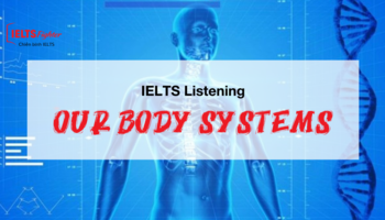 unit-19-our-body-systems-3569